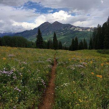 Mount Crested Butte San Moritz Condominiums מראה חיצוני תמונה
